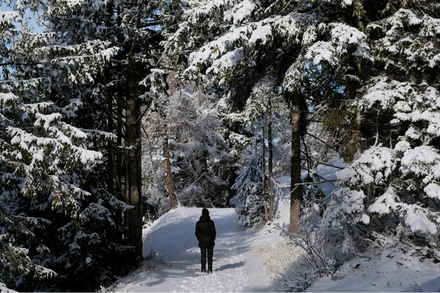Warm winter scene representing seasonal wellness.